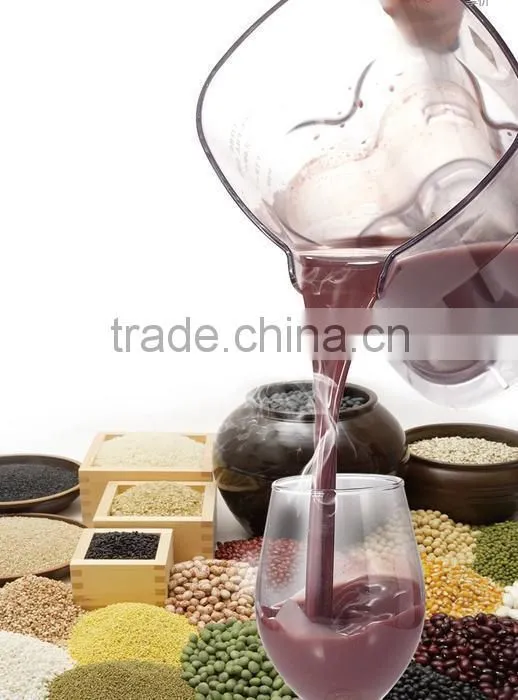 Fruit Juicer Blender