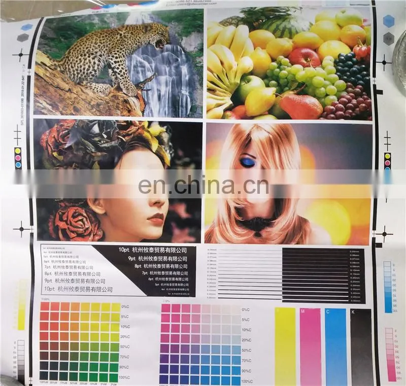 UTR480 multicolor electric pad sticky note Flexo Printing Machine, cardboard box roll flexographic printer machinery