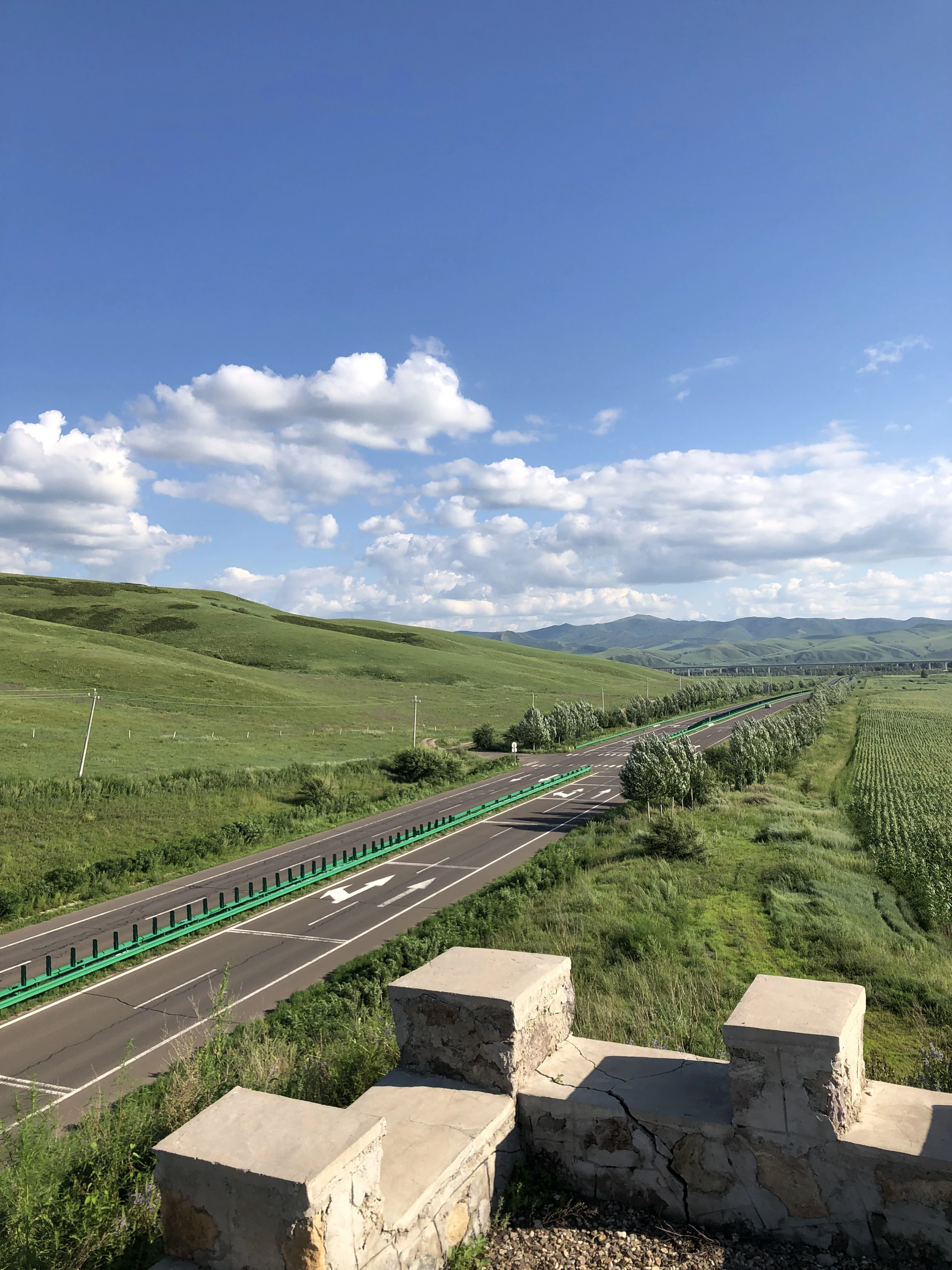 100 superior varieties of forage grass