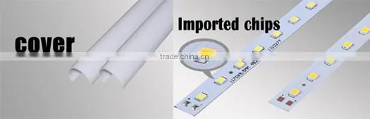 T8 with 1200mm cool bright bule 2835 smd chips read led tube