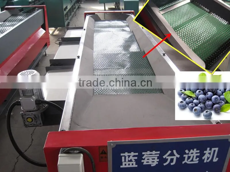 shanghai coffee bean sorting machine/blueberry grading equipment&machinery/soybean grading machine