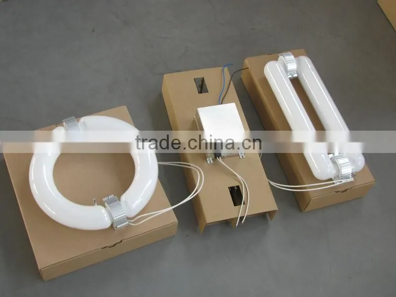 300w induction light