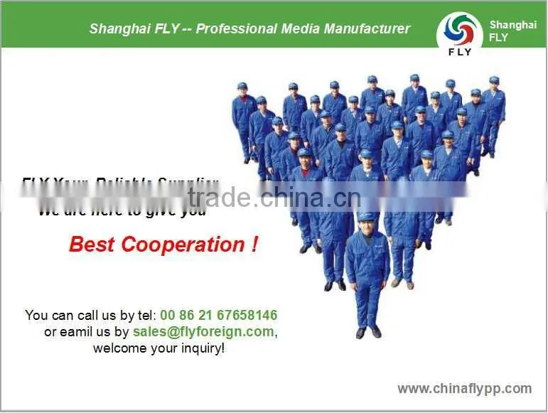 Shanghai FLY 175mic reverse printing backlit PET Film for light box