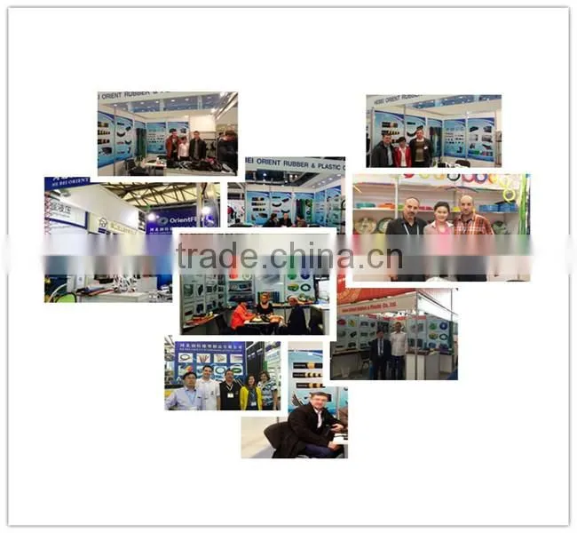 PVC braided naturtal gas extension hose
