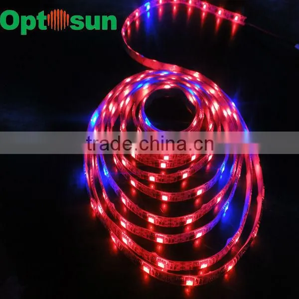 HOT ws2811 IC 5v smd5050 digital dream color rgb