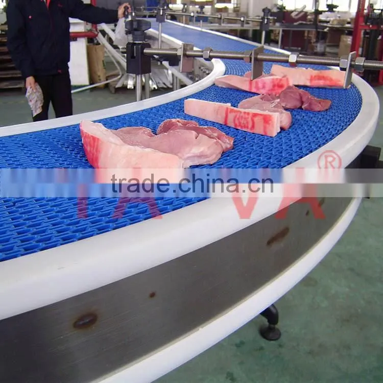 Food Industry Plastic Modules Conveyor