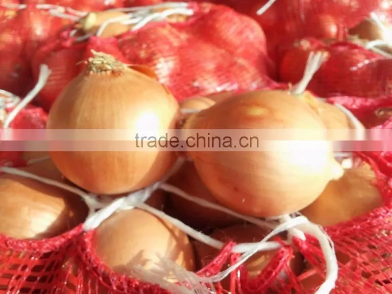 Onion