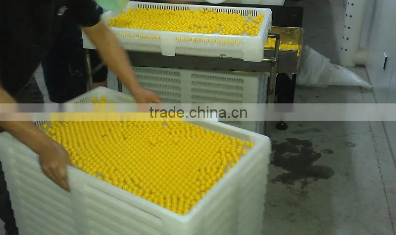 Automatic Small Scale Paintball Production Line Paintball Machine-R&D Model