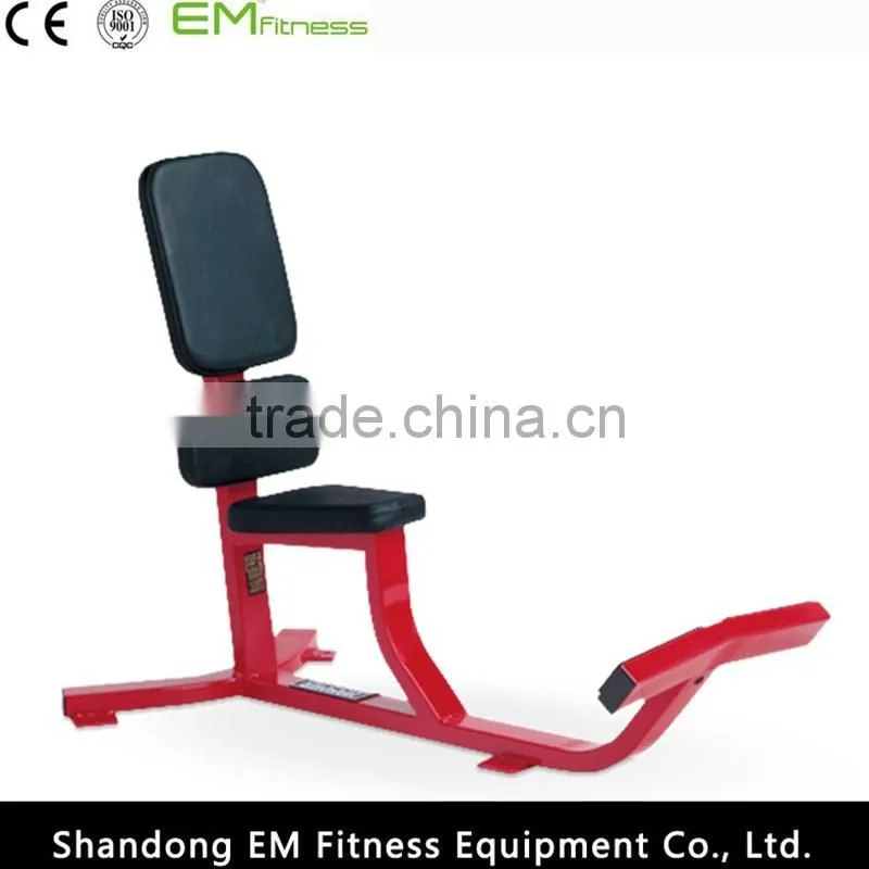life fitness equipment Roman chair back extension