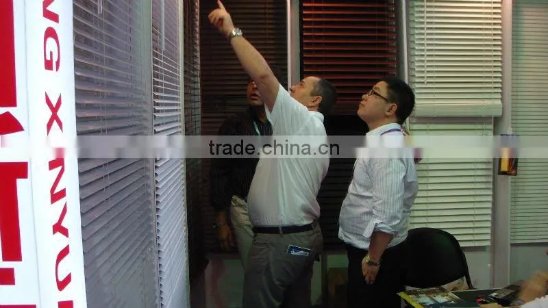 PVC blinds