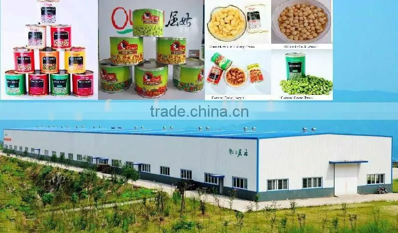 Canned Broad Beans/Canned Food/Canned Vegetables