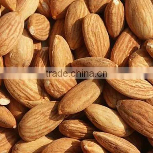 Amygdalin 98% in bulk
