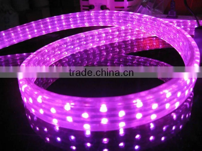 colorful high brightness waterproof LED string light