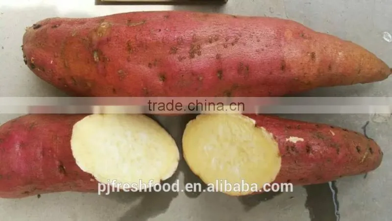 Fresh Sweet purple Potato/red skin potato