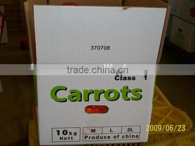 Chinese fresh carrot
