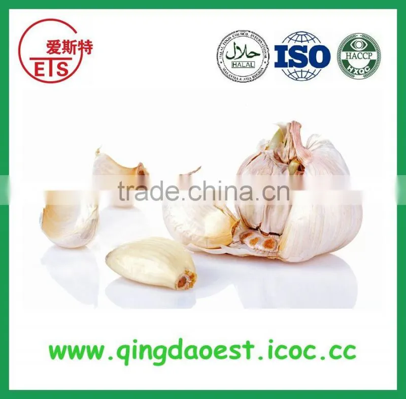 supply bulk High quality white garlic from chinese garlic hometown ,jinxiang to Singapore