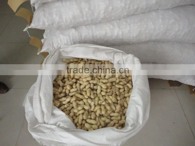 new production commom raw peanut kernels 25/29
