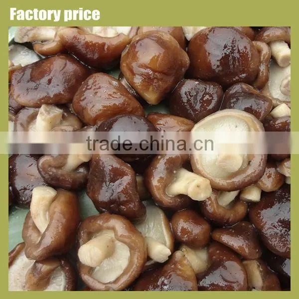 Chinese cultivated honey mushroom