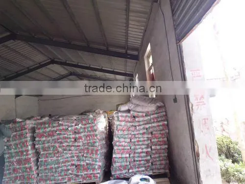 35g detergent powder for multi-fonction use