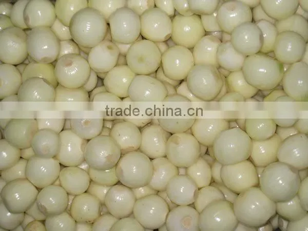 fresh onions