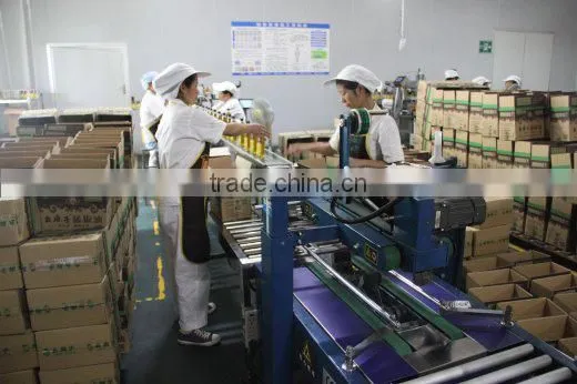 Sichuan Hongya County Yaomazi Food Co., Ltd. company overview - view 3