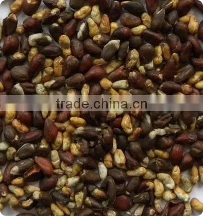 2012 the hot selling cotton seed ccd color sorter