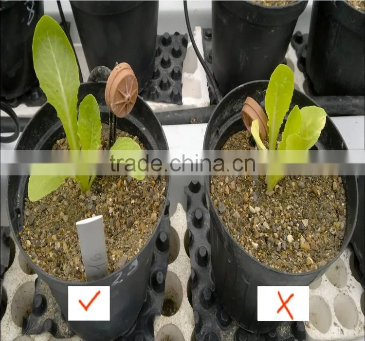 China natural source humic amino acid for high grade