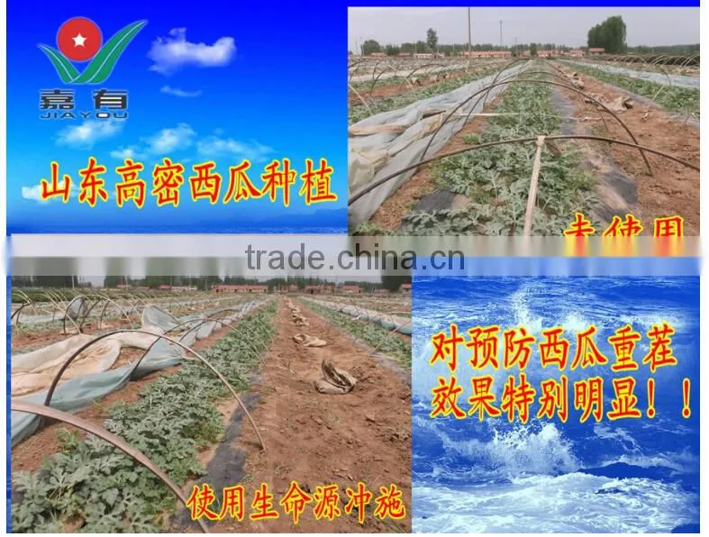 Fulvic Acid Water Soluble Series NPK Fertilizer, Suitable for Field and All Kinds of Economic Crops