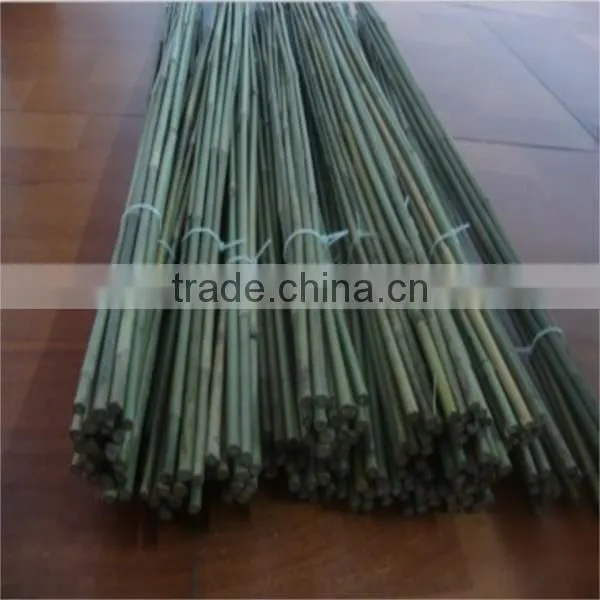 bamboo canes / pole