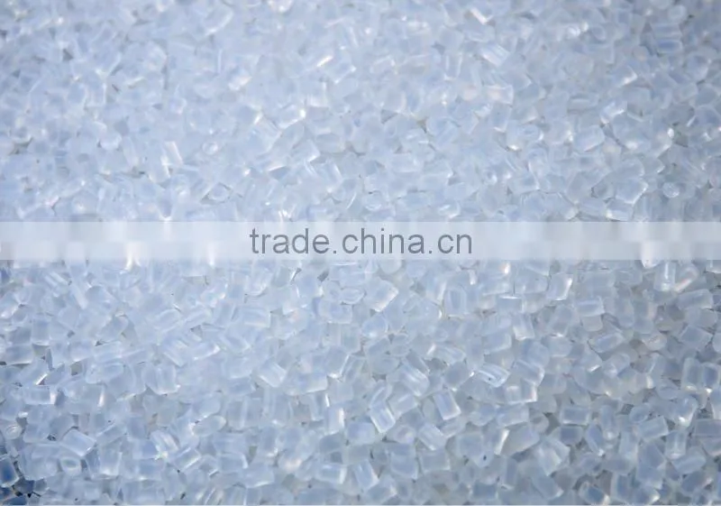 Nylon6 chip 2013