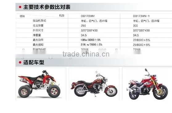 Engine parts for DB250 300cc 4 valve Water-Cooled Dongben engine (173MN-1)