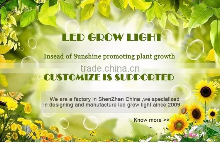 Alibaba China noah Patent Product cob full spectrum led grow light for medical plants