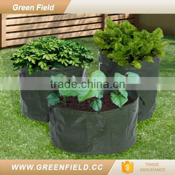 Green Field PE tomato herb planter garden bed 2017 new arrivals