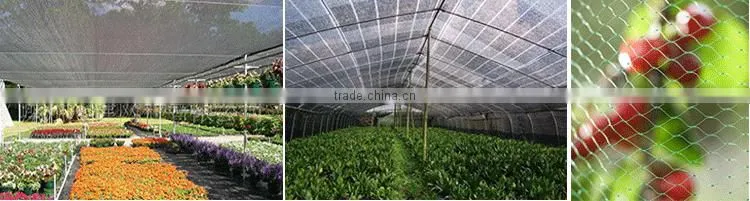 Agriculture green sun shade net