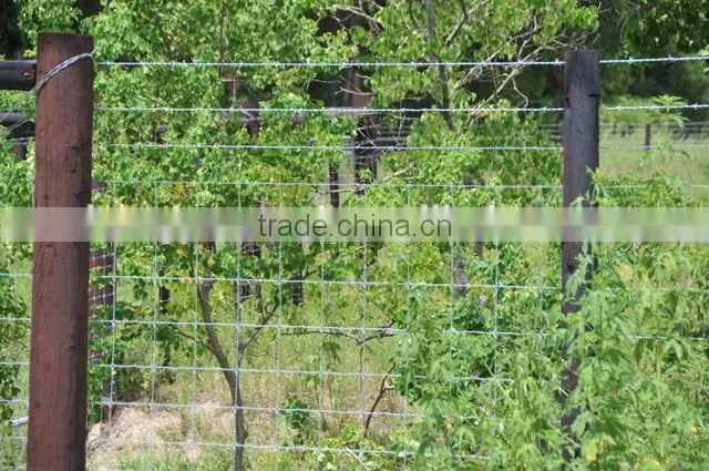 Hot Sale Electric Galvanized Field Iron Wire Cattle Mesh Fence