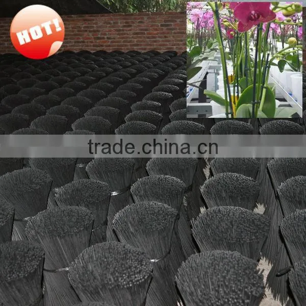 painted black color indoor flower supprt bamboo stick