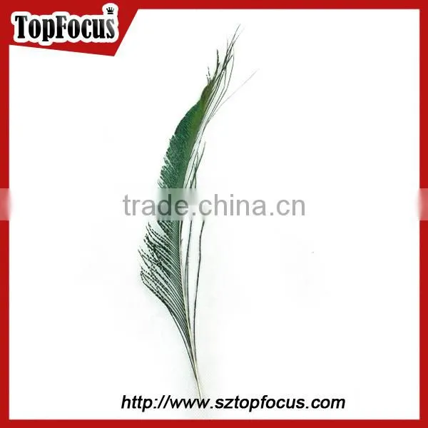 Cheap down raw material green natural peacock feather for sale