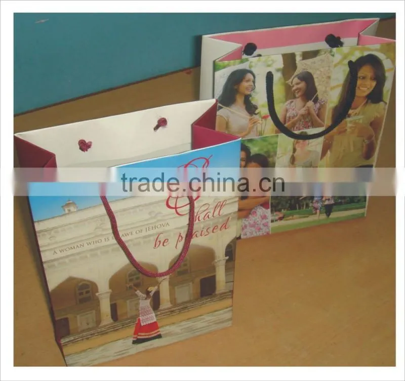 Printed Paper Bags / Mobile Shopping Bags