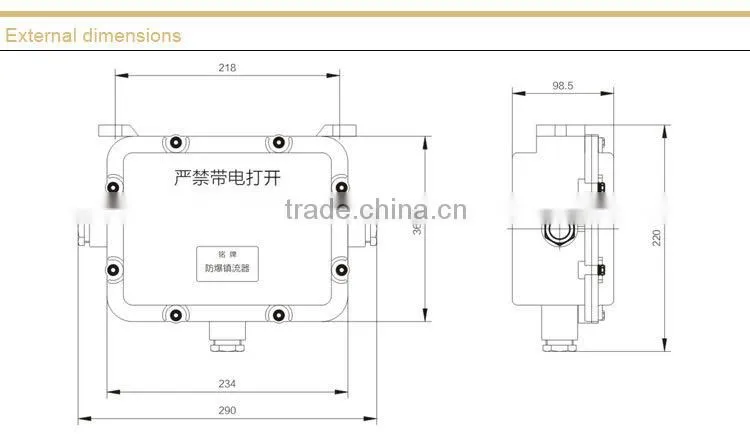 BAZ51 Explosion Proof Floodlight Ballast
