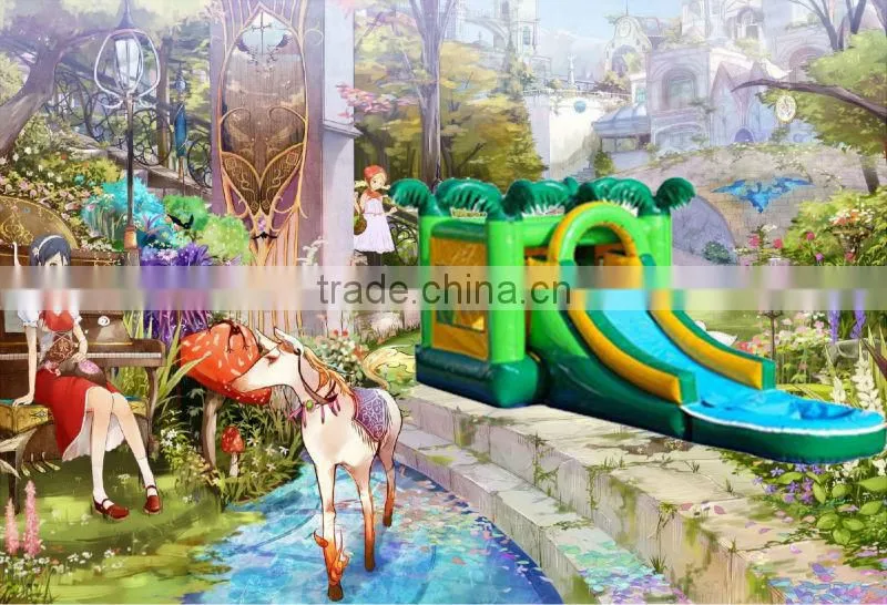 NewPoint high quality cheap inflatable combo for sale