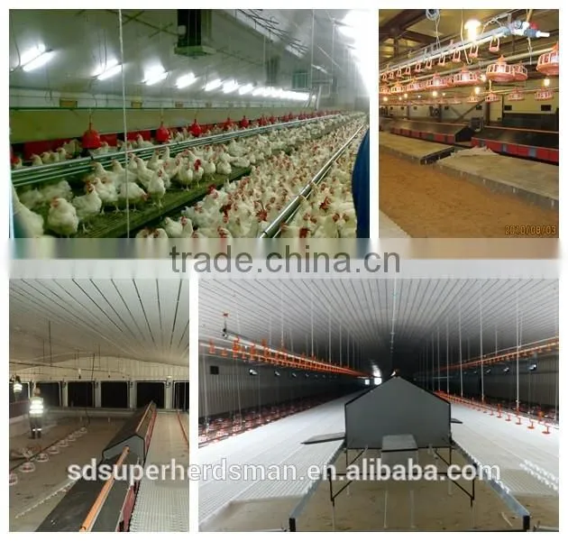 Light Steel prefab Farm House for Chicken