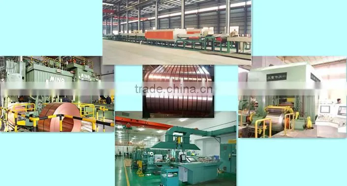 Chinese metallurgy Electrical material BeCu strips