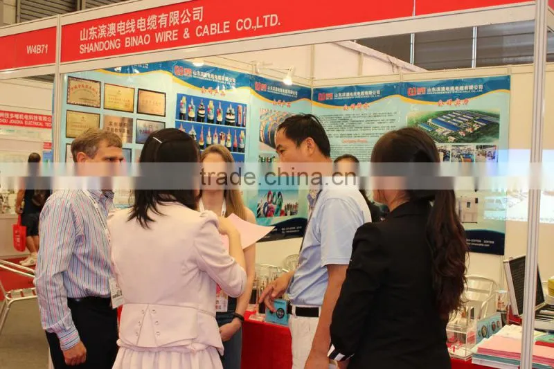 copper conductor PVC/XLPE insulation PVC sheath control cable,push pull control cable