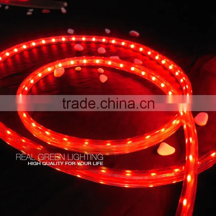 220 Volt 3528 SMD IP 65 Red LED Strip Lighting
