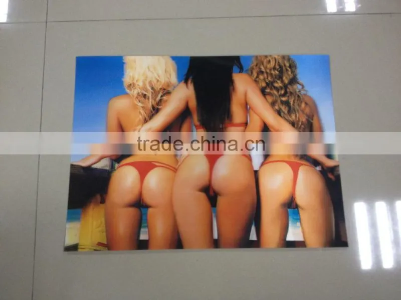 Promotional 3d lenticular pictures for wall decoration