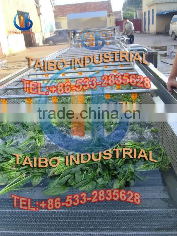 Ozone Fruit and Vegetable Washer /Vegetable Washing Machine