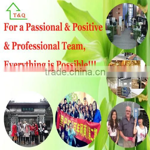 Fuzhou T&Q Garden Crafts Co., Ltd. company overview - view 1