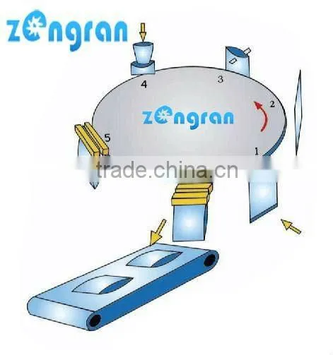 Automatic Rotary Bag-given Packing Machine