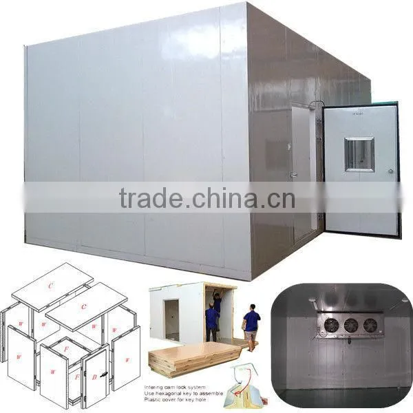 modular cold room and freezer room(fruit&meat)with cam lock polyurethane panels