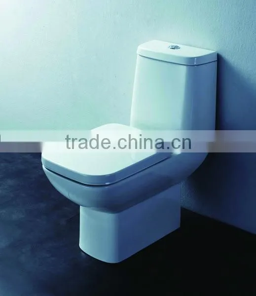 CRW HB3646 One Piece Ceramic Wash Down Toilet